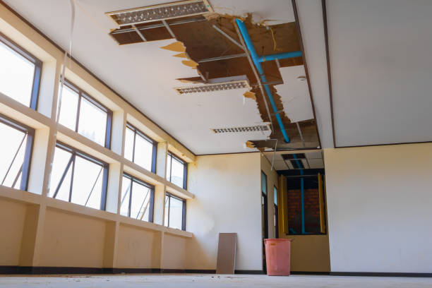 Best Water damage contractors near me  in Milledgeville, GA