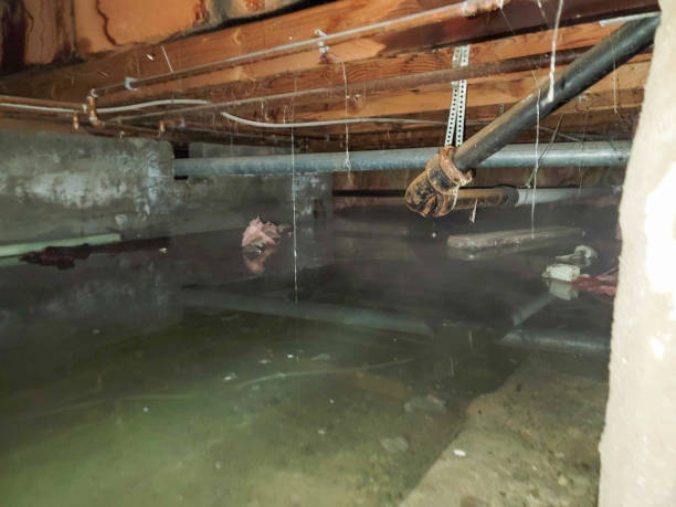 Best Emergency water damage restoration  in Milledgeville, GA