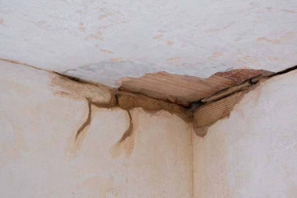 Best Flood damage cleanup  in Milledgeville, GA