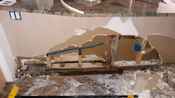 Best Flood restoration services  in Milledgeville, GA