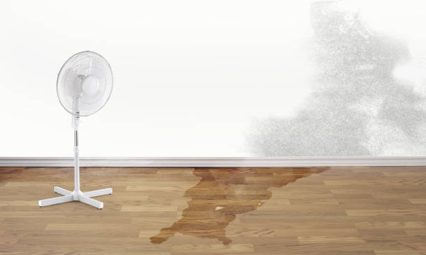 Best Ceiling water damage repair  in Milledgeville, GA