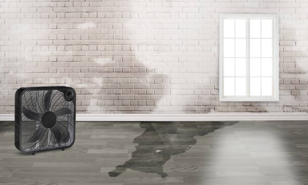 Trusted GA Water damage restoration Experts