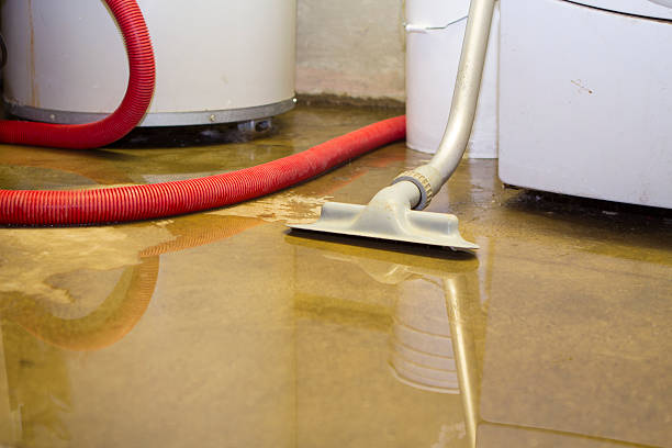 Best Sewage cleanup and water damage restoration  in Milledgeville, GA