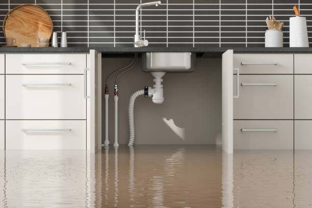 Best Basement water damage restoration  in Milledgeville, GA