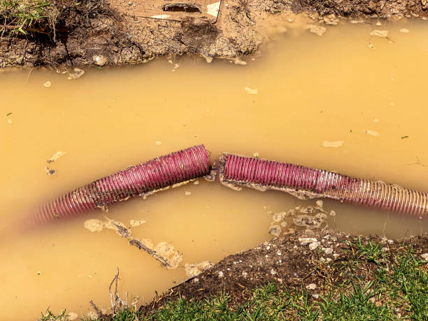 Best Water damage restoration company  in Milledgeville, GA